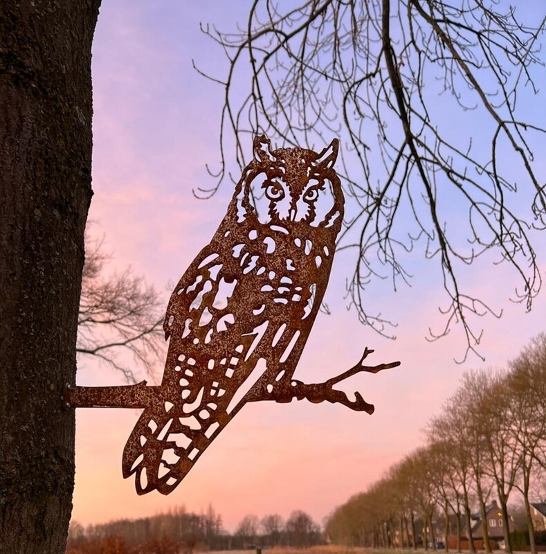 Owl - long-eared owl of corten steel