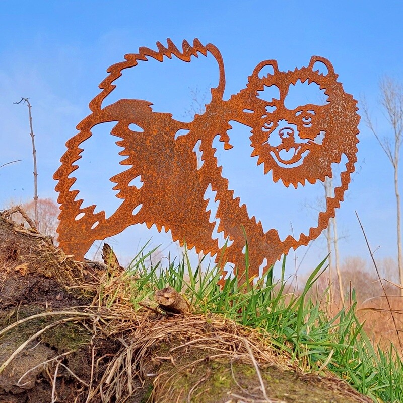Pomeriaan - pomeranian - dwergkees van cortenstaal