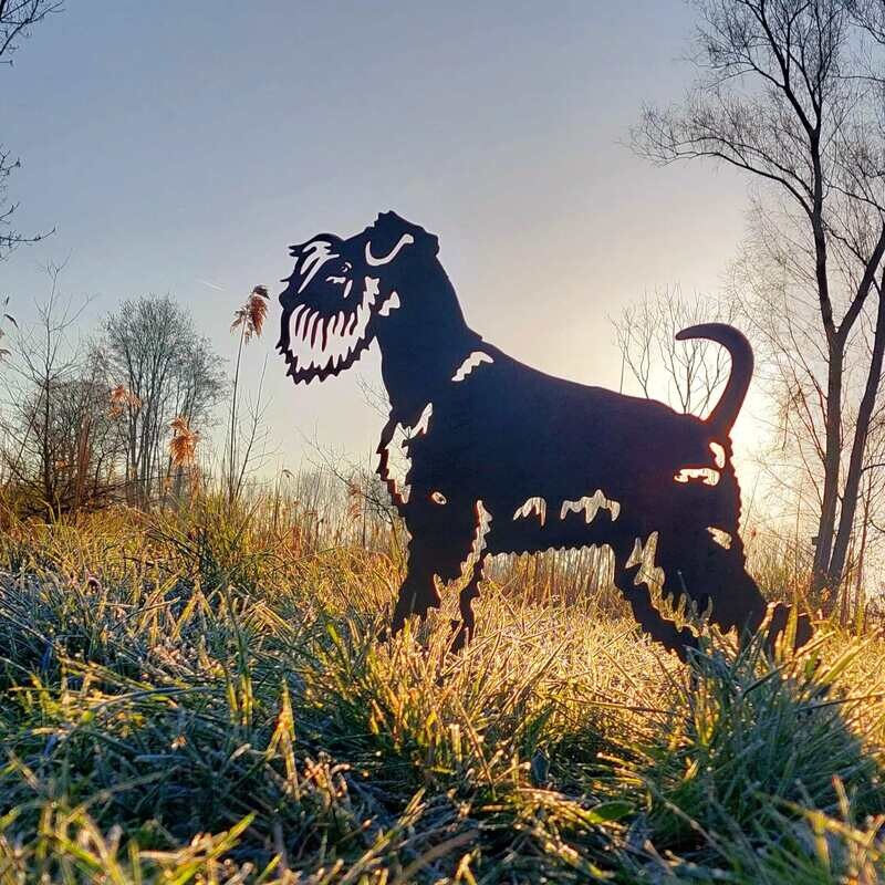 Schnauzer van cortenstaal