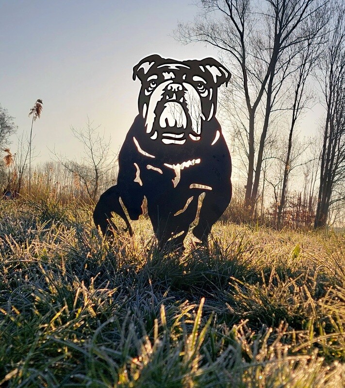 Engelse bulldog van cortenstaal