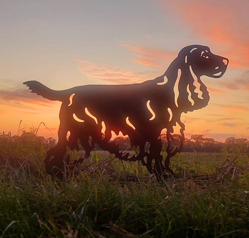 Engelse Cocker Spaniel van cortenstaal