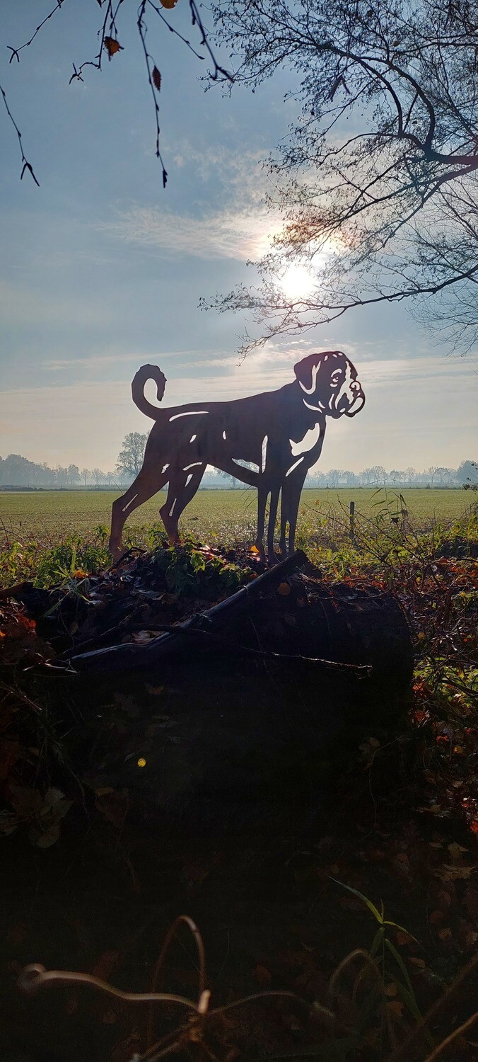 Boxer van cortenstaal