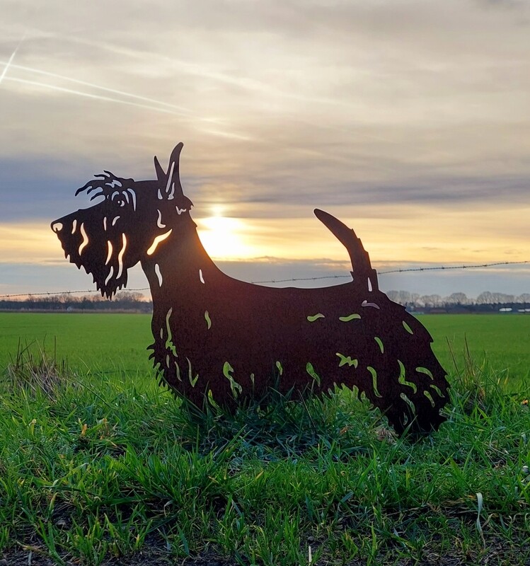 Schotse terrier van cortenstaal