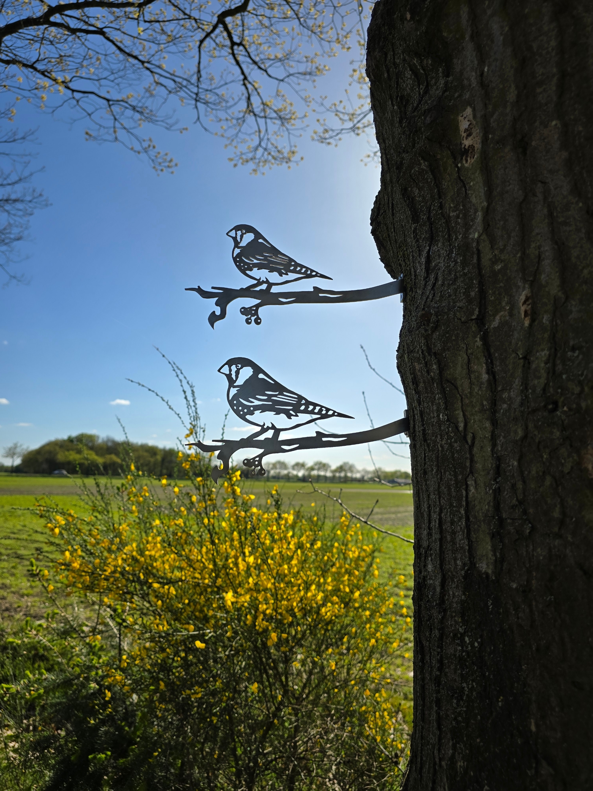 Zebravink van cortenstaal
