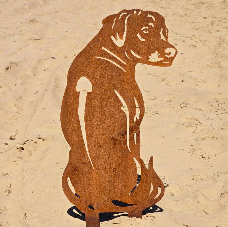 Rhodesian ridgeback van cortenstaal