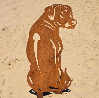 RHODESIAN RIDGEBACK – Cartello di avvertimento per animali – 20 x 12 cm, targa per cani 38