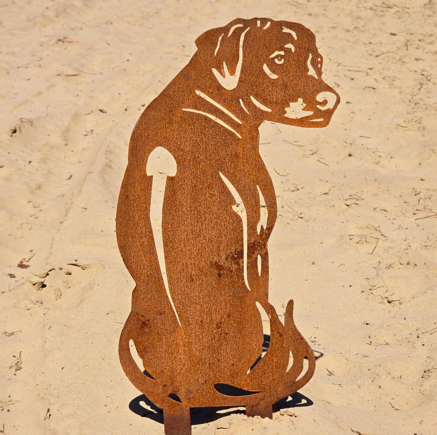 Rhodesian ridgeback van cortenstaal