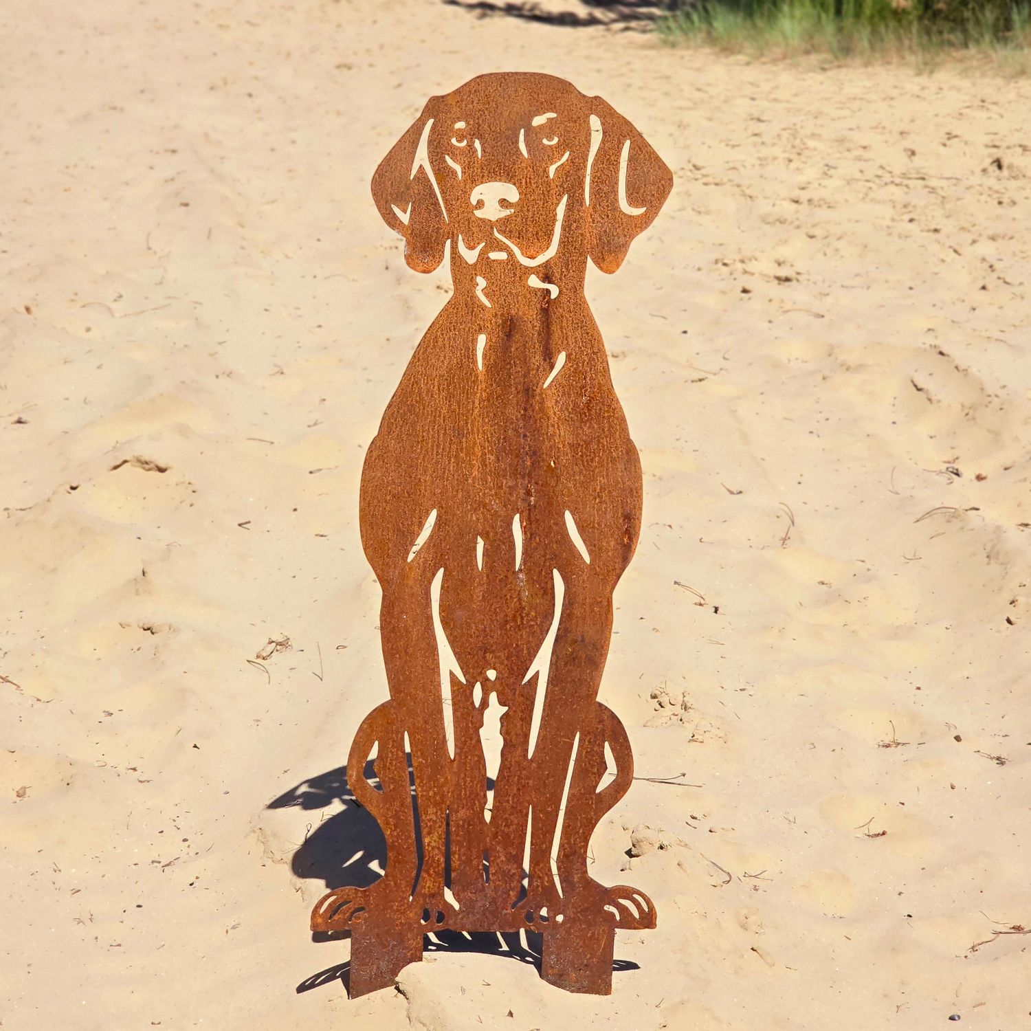 Vizsla / Weimaraner van cortenstaal