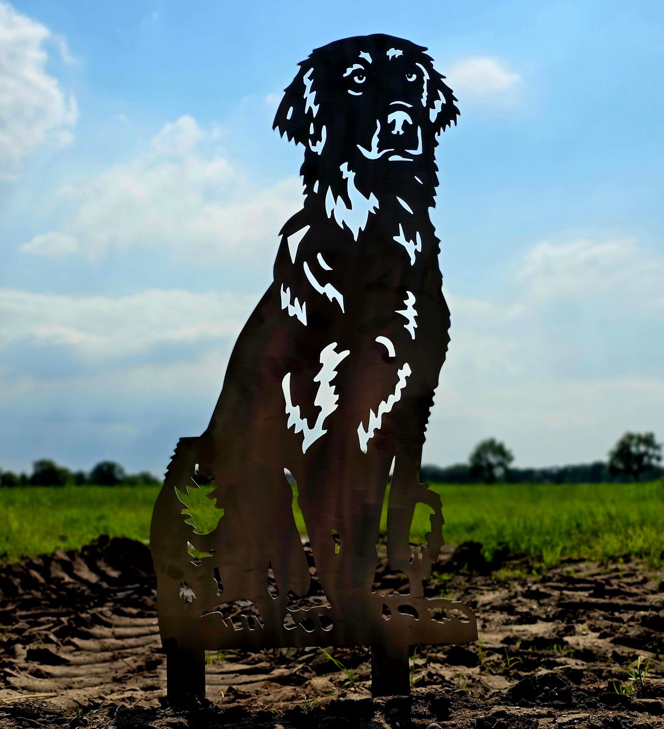flatcoat retriever  van cortenstaal