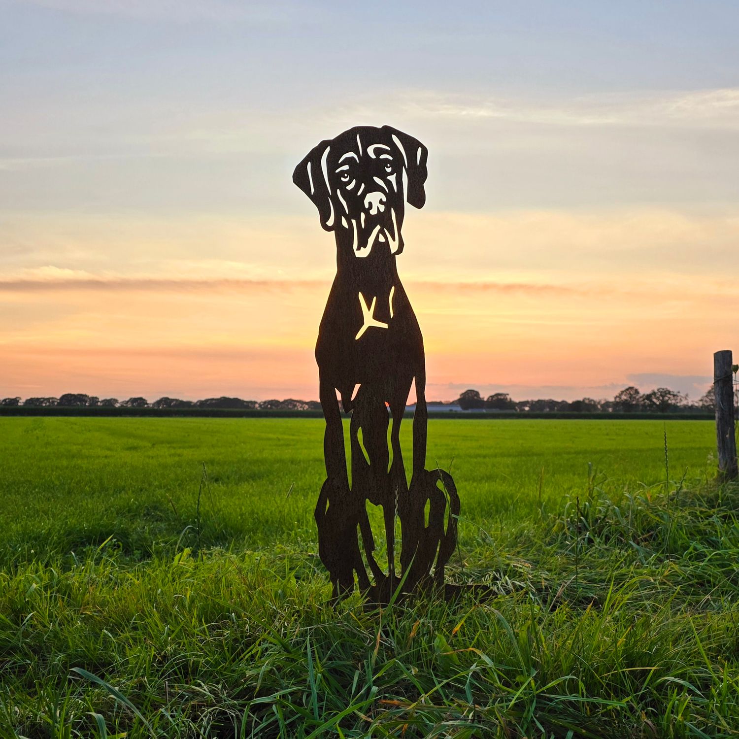 Duitse dog