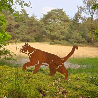 Metalen katten