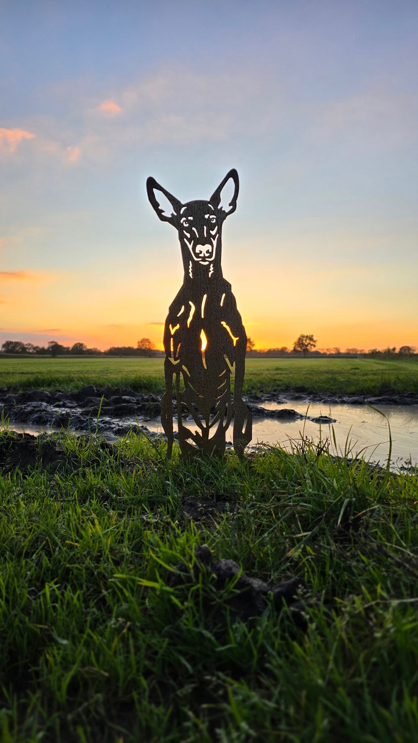Podenco van cortenstaal