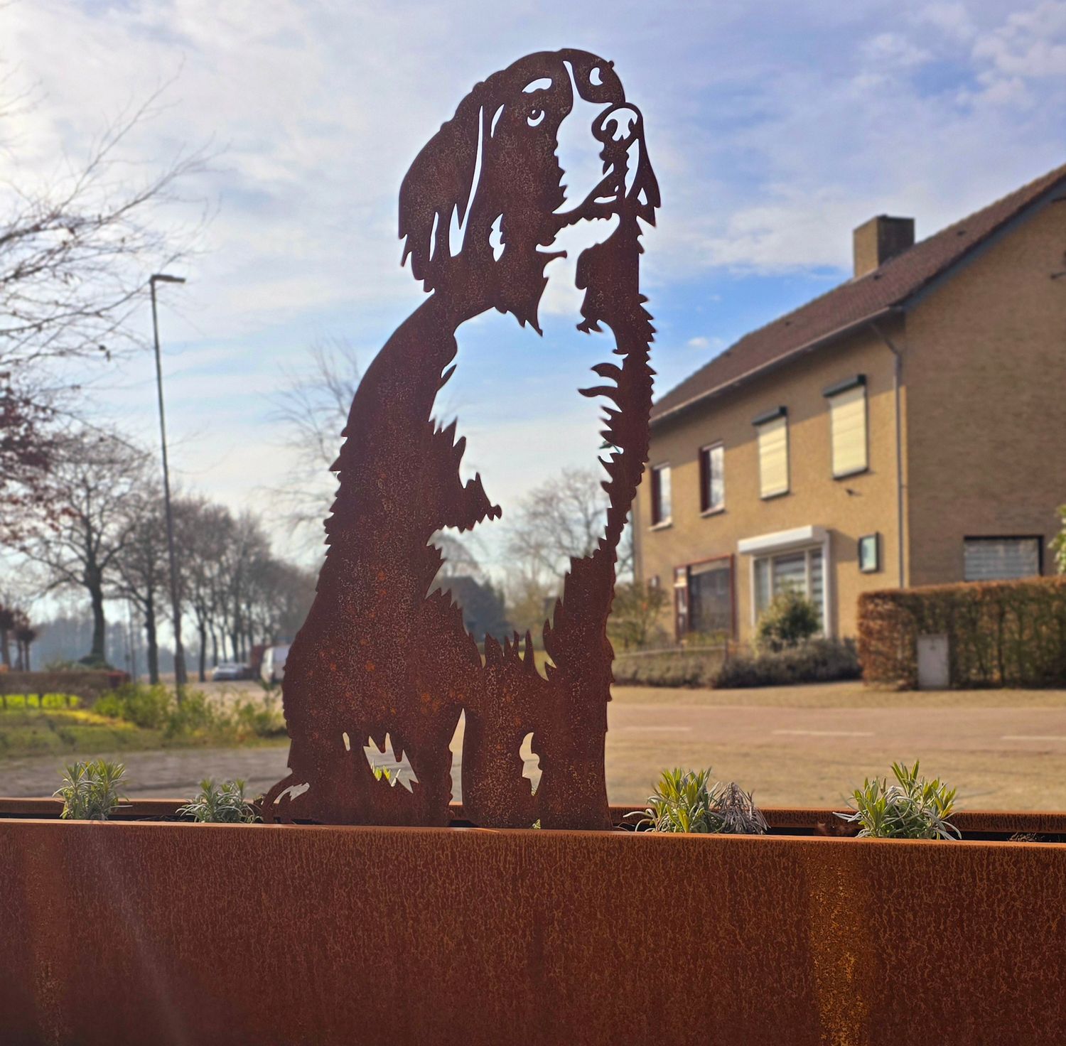 Berner Sennen made of corten steel