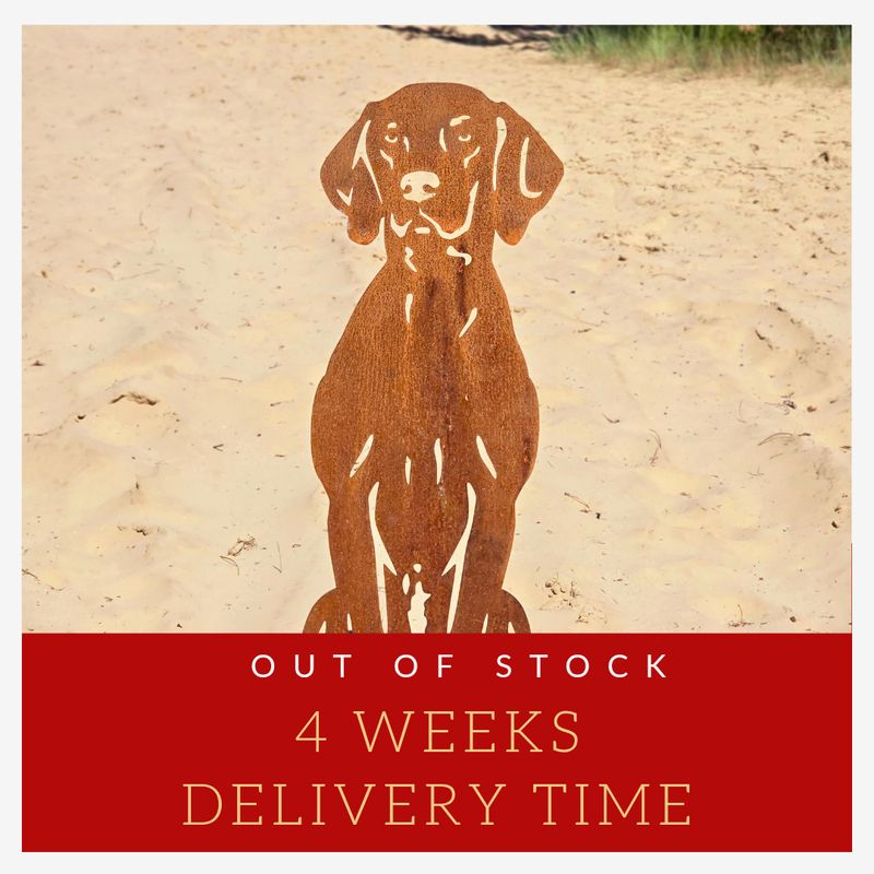 Vizsla -weimaraner fabricado en acero corten