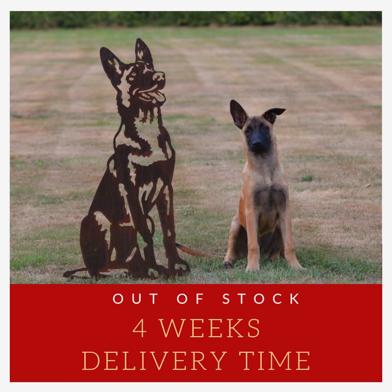 Malinois de acero corten