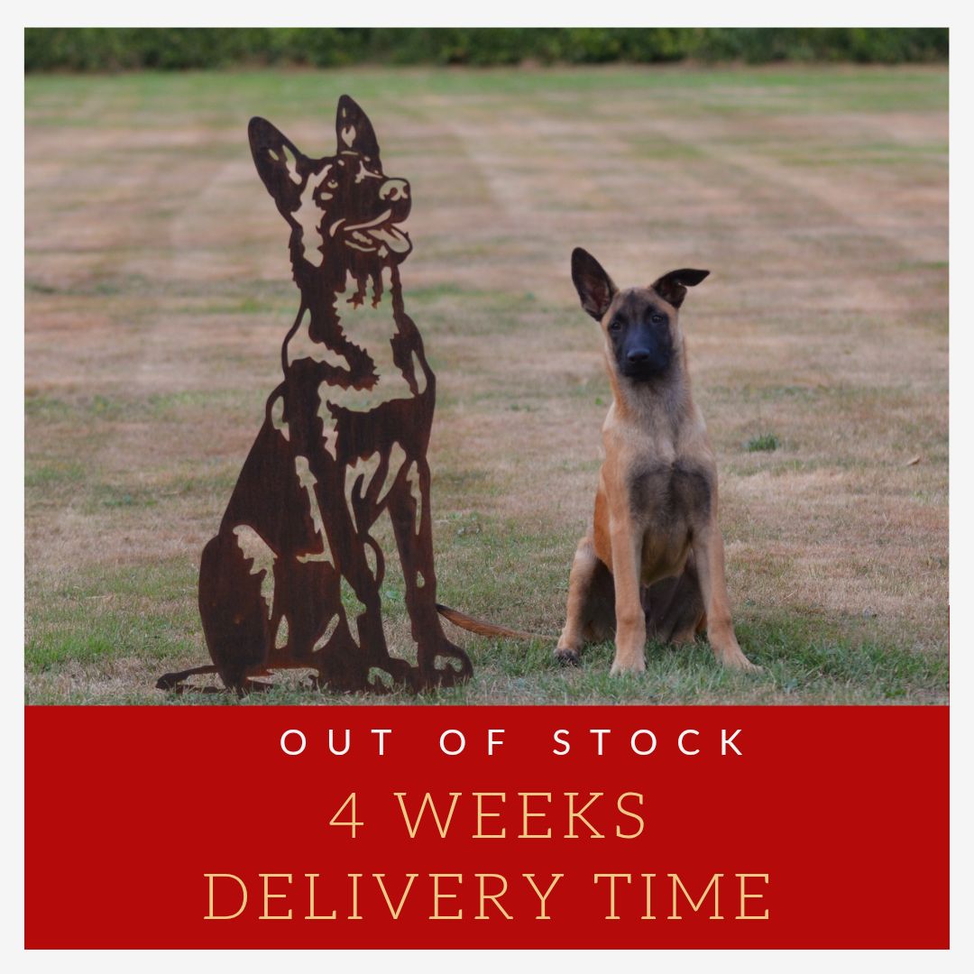 Mechelse herder cortenstaal Mechelse herder cortenstaal