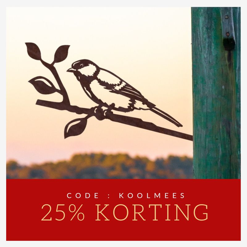 Koolmees van cortenstaal