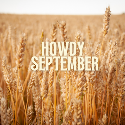 SEPTEMBER WORKSHOPS