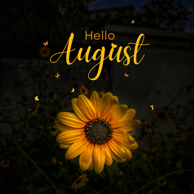 AUGUST WORKSHOPS