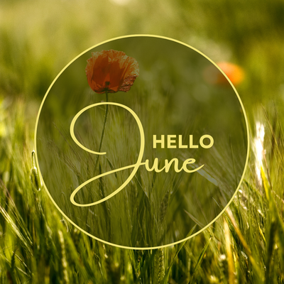 JUNE WORKSHOPS