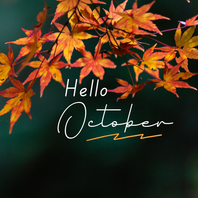 OCTOBER WORKSHOPS