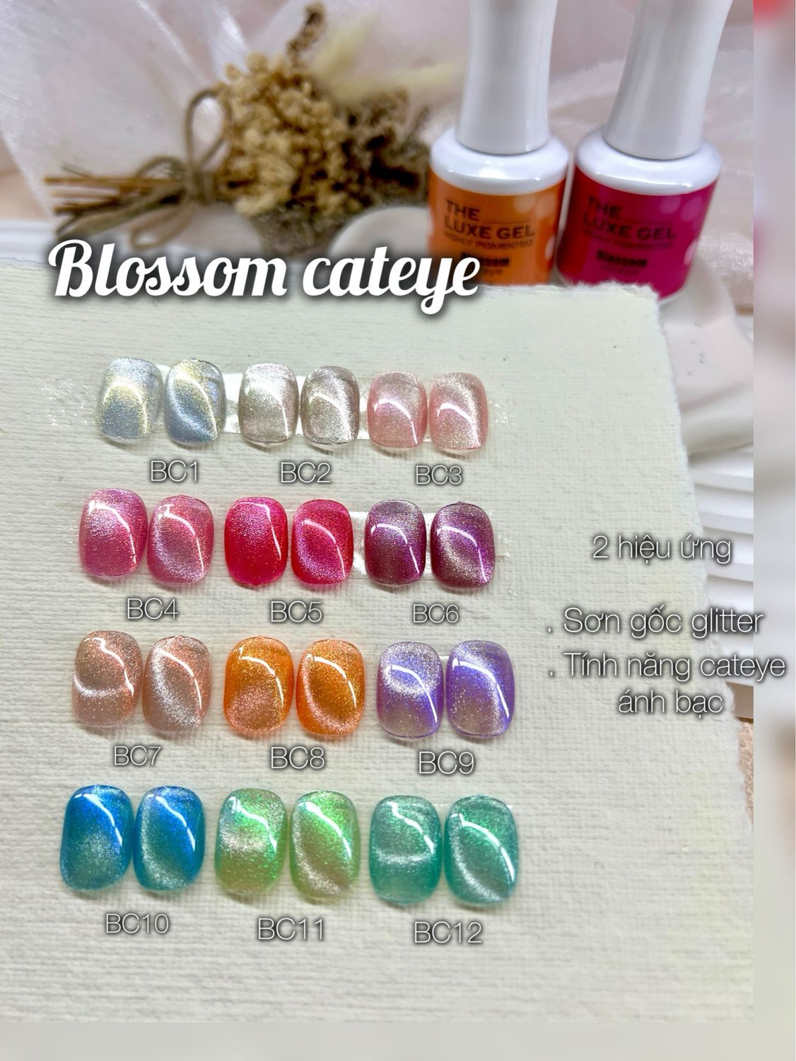 Blossom Cateye- 12 Colors