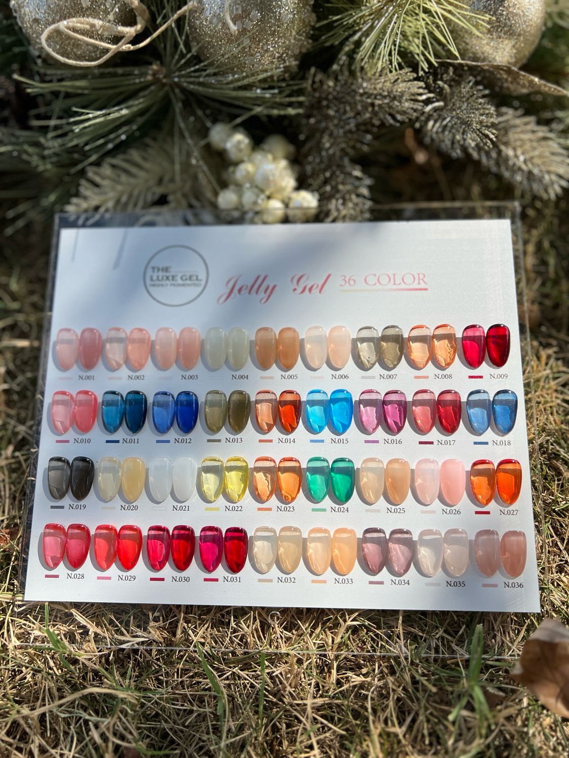 Jelly Gels- 36 Colors
