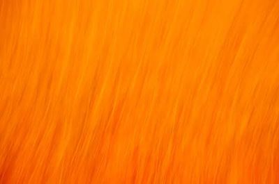 Wigs 