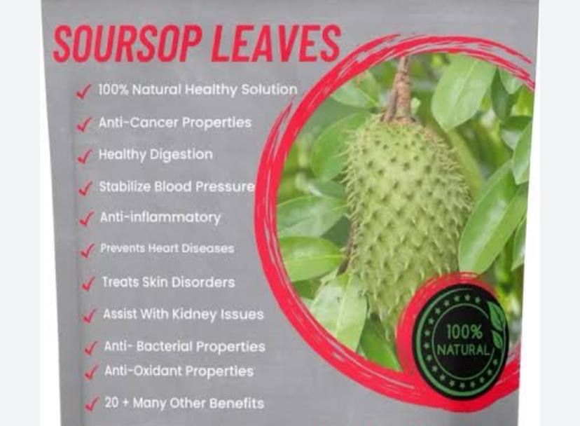 Soursop Leaves