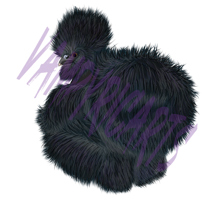 Chickens