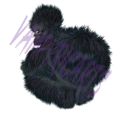 Chickens