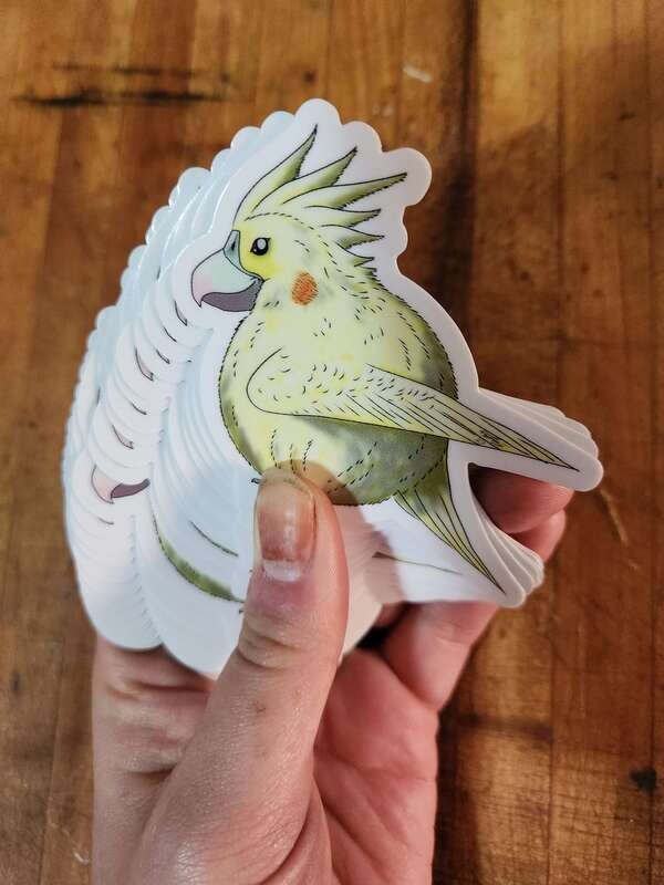 Borbs