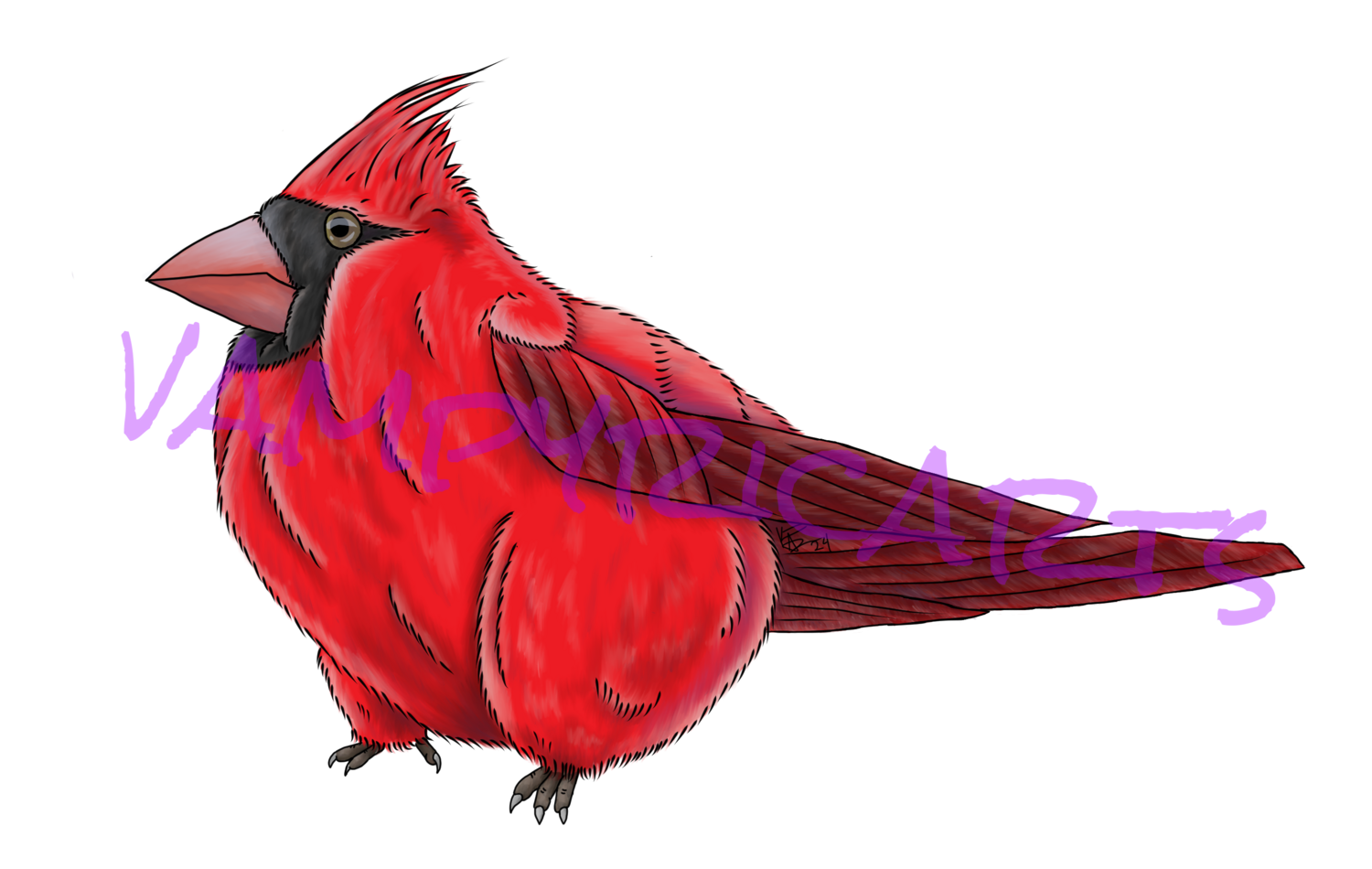 Cardinals