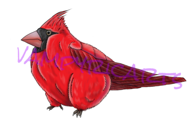 Cardinals