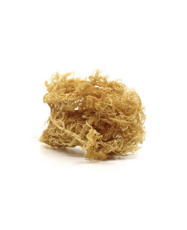 Irish Sea Moss - 2 OZ
