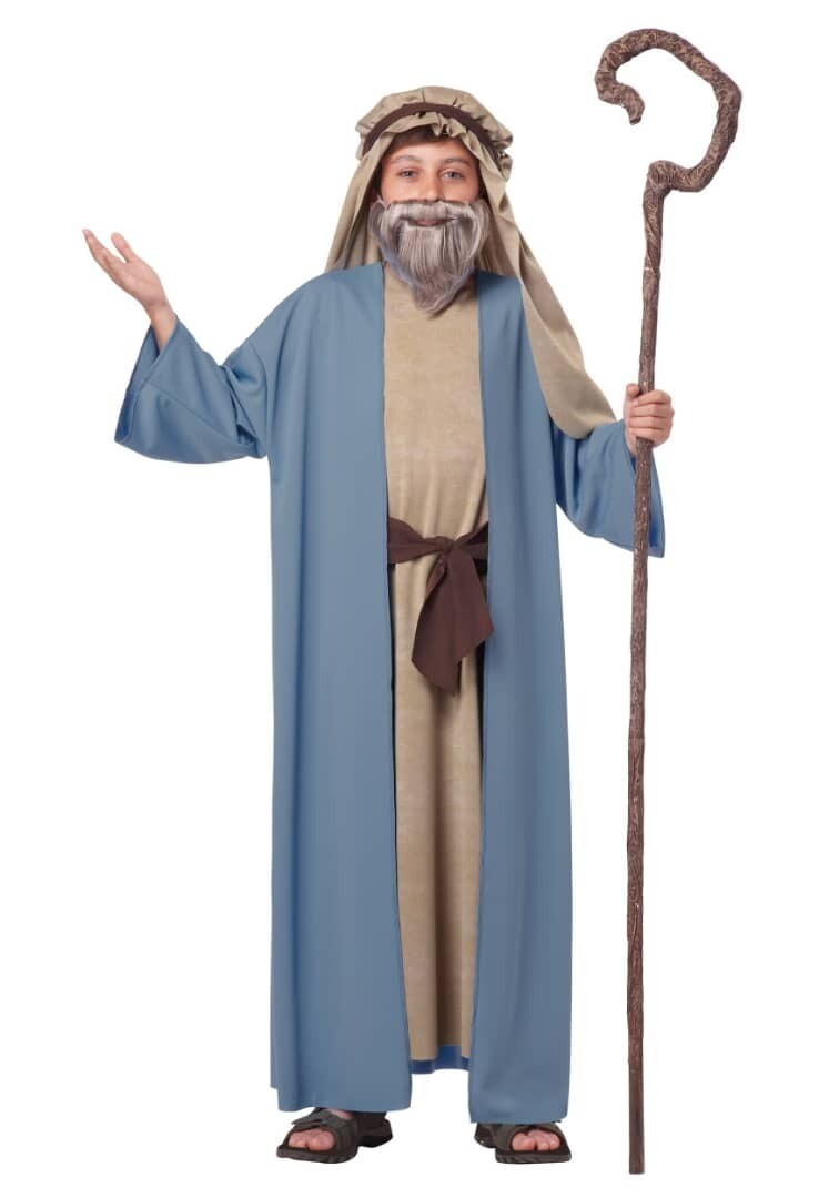 Bible character costume