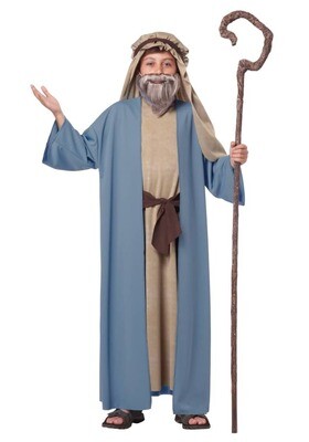 Bible character costume