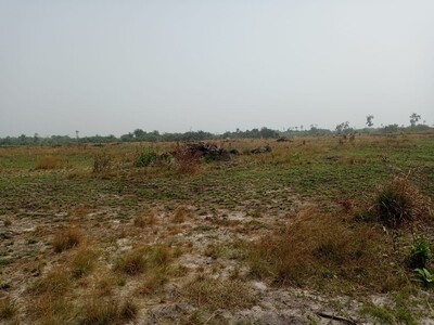 FInnest  Fields