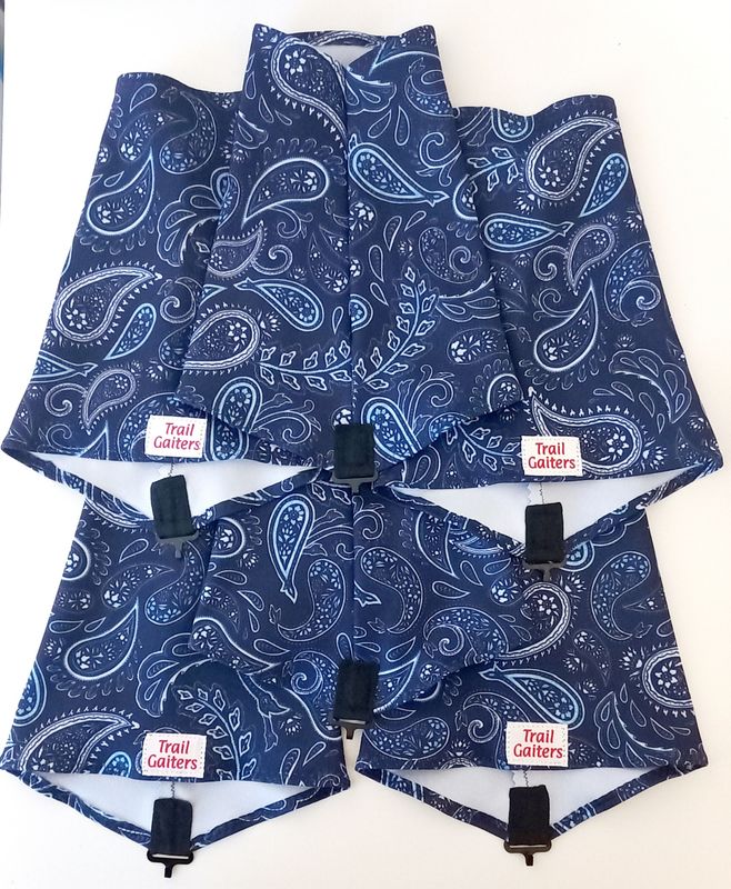 Blue Paisley