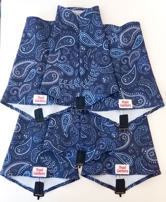 Blue Paisley