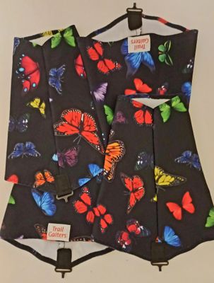 Butterfly ??