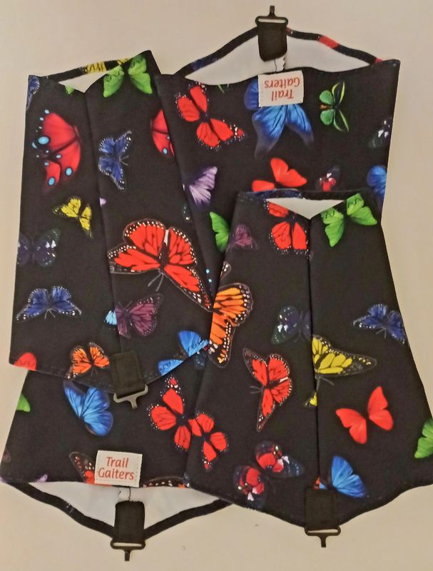 Butterfly ??