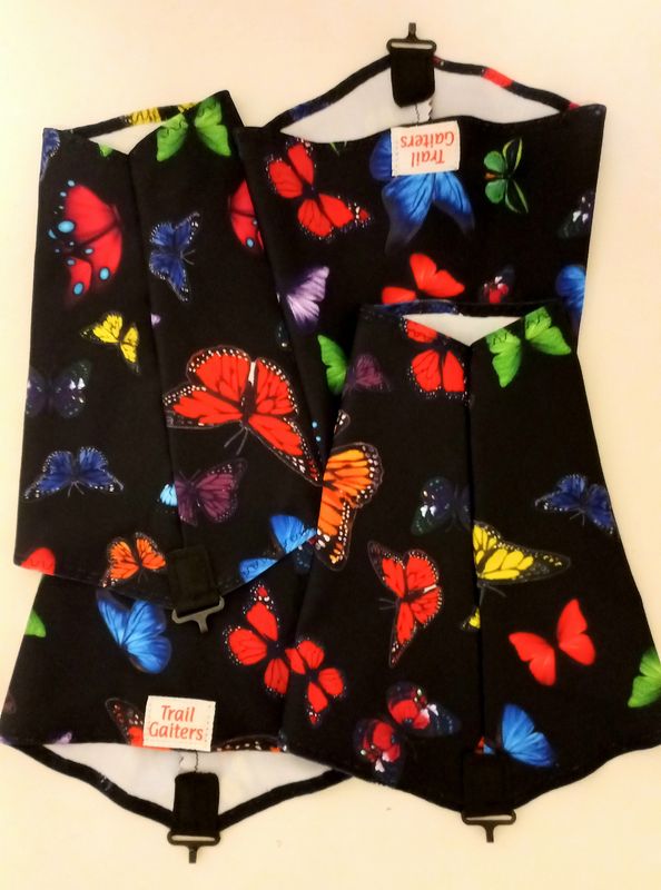 Butterfly ??
