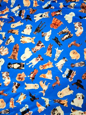 Doggy Daze Doggy Daze