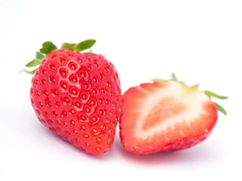 Furore Trayplant A++