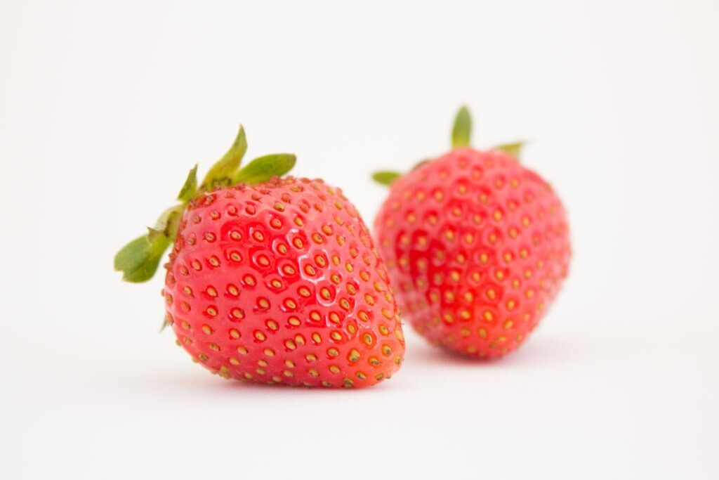 Krat Favori Trayplanten A++ 100 planten Krat Favori Trayplanten A++ 100 planten