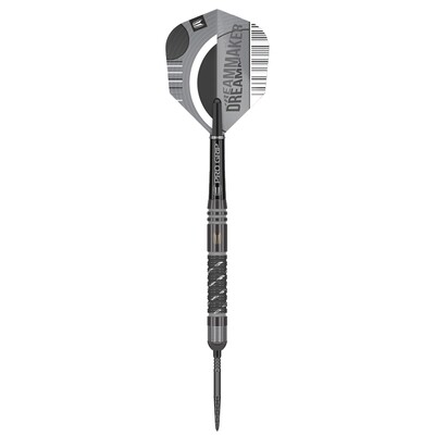 Dimitri Van den Bergh ECHO 90% Swiss 22g Steeltip