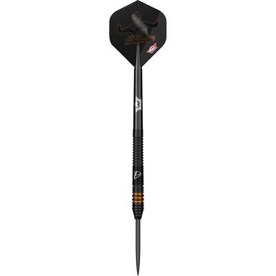 Bull's Dirk Van Duijvenbode E2 90% 25gr