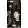 Bull's Richard Veenstra E2 90% 23gr