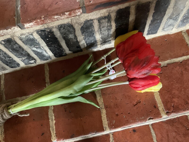 Rode dubbele tulpen